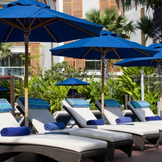 DÙ CHÍNH TÂM LỚN